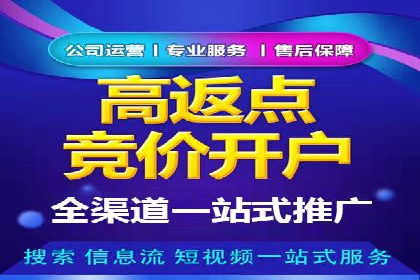 SEM广告投放的优化技巧与实战案例分享
